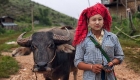 photo of a girl and buffalo in kalaw village