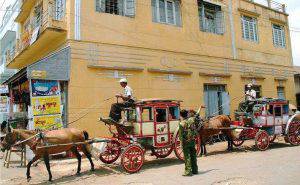 Pyin Oo Lwin horse cart