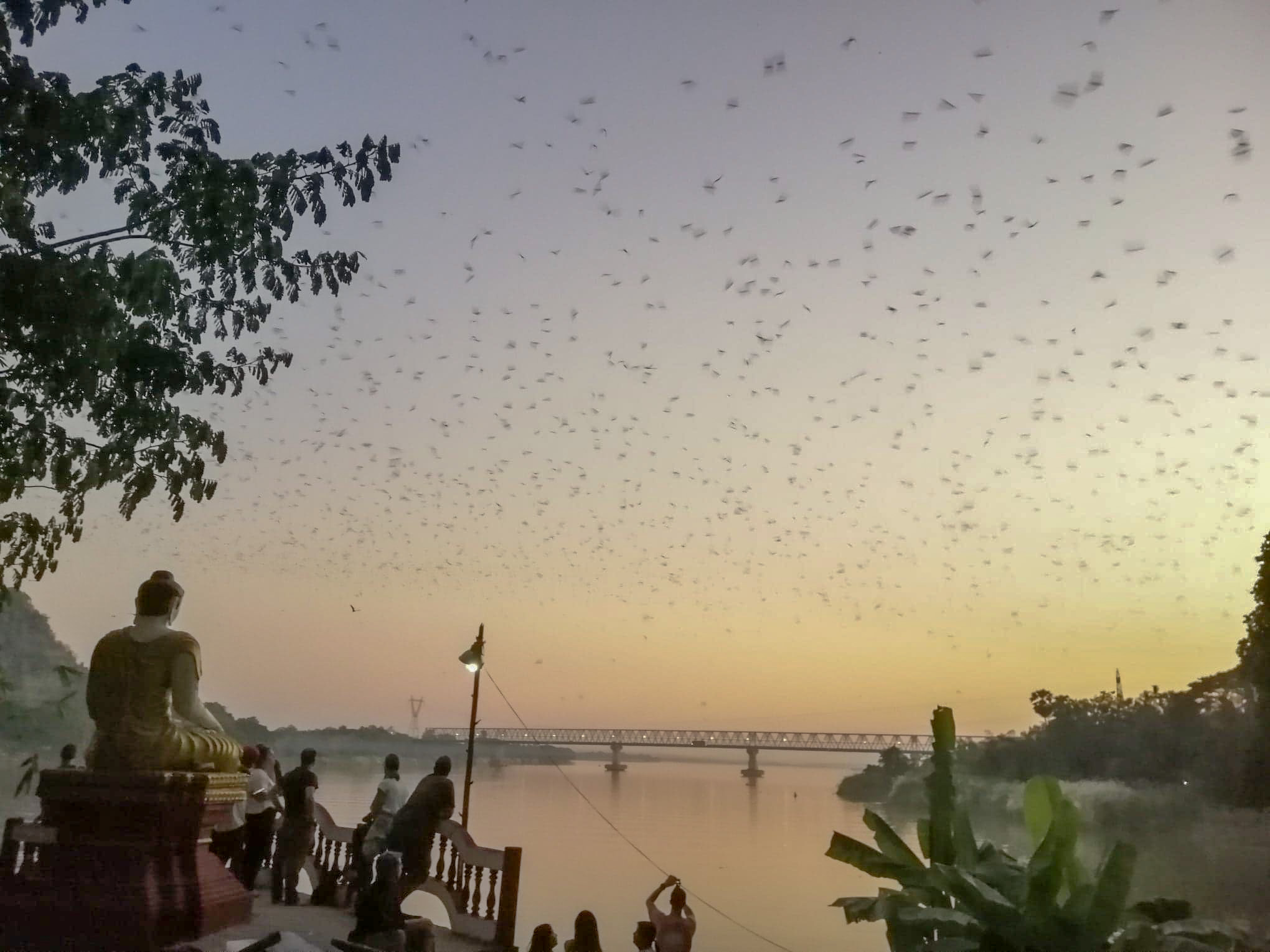 bat cave Hpa An