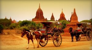 photo of two horse cart and bagan temples