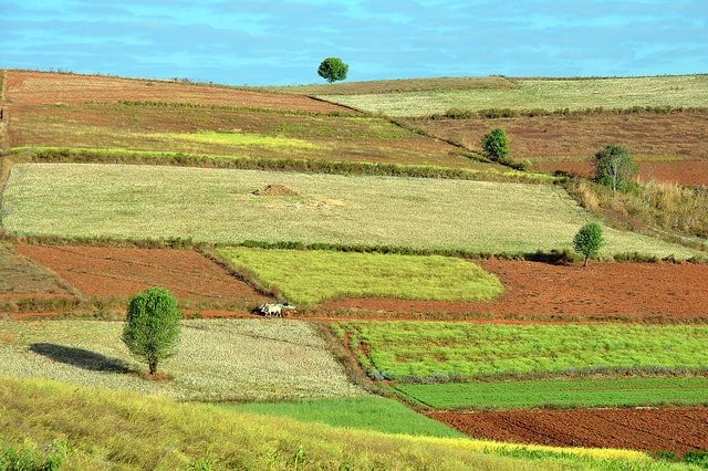 photo of green fields in Pindaya