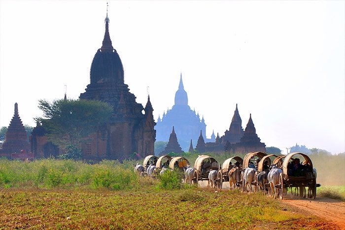 photo of bullock-carts with bagan temples