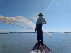 Irrawaddy Dolphin Tour Photo