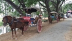 Inwa Ava hose carts Mandalay Myanmar