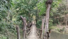 Photo of creek in Naga Land